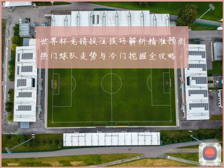 世界杯竞猜投注技巧解析精准预测热门球队走势与冷门挖掘全攻略