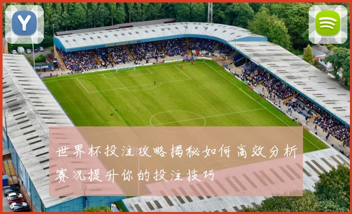 世界杯投注攻略揭秘如何高效分析赛况提升你的投注技巧