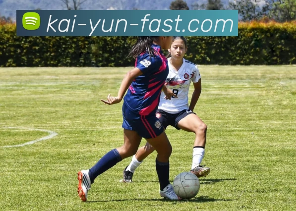 开云平台展示图