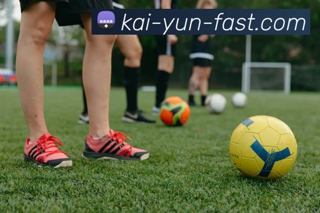 开云官网全站App